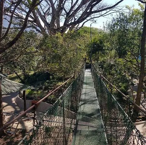 Hotel Termales El Guayacán