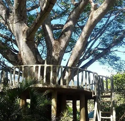Termales El Guayacán Bagaces